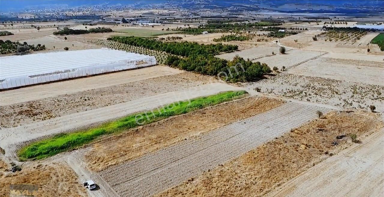 Korkuteli Yeşilyayla Mah. 2,300 M2 Tarla - Görsel 13