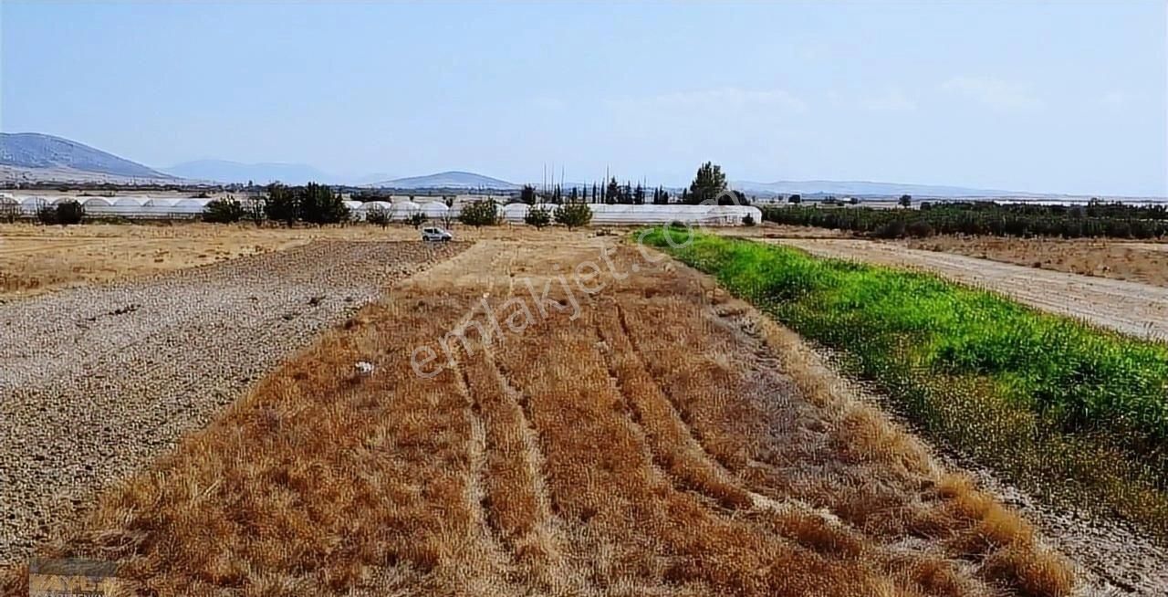 Korkuteli Yeşilyayla Mah. 2,300 M2 Tarla - Görsel 5