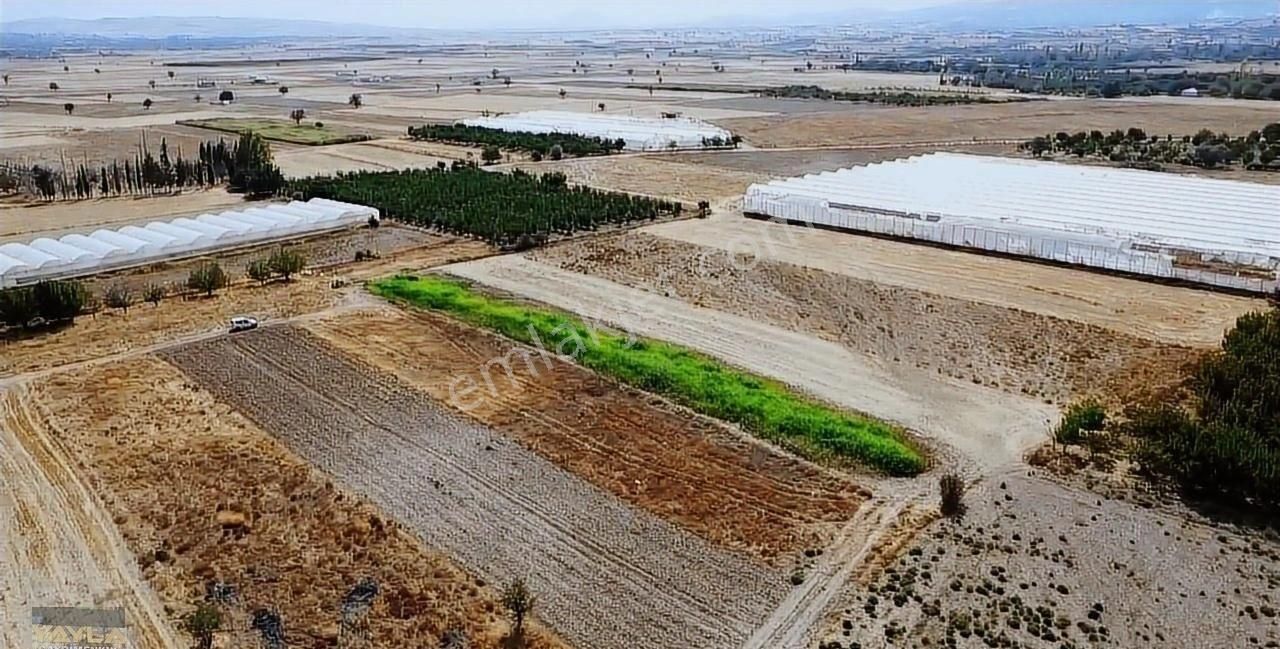 Korkuteli Yeşilyayla Mah. 2,300 M2 Tarla - Görsel 6