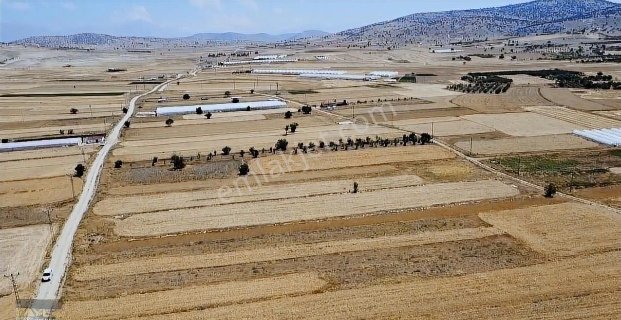 Korkuteli Sımandır Mah. 900 M2 Tarla Resmi Yolu Var - Görsel 17