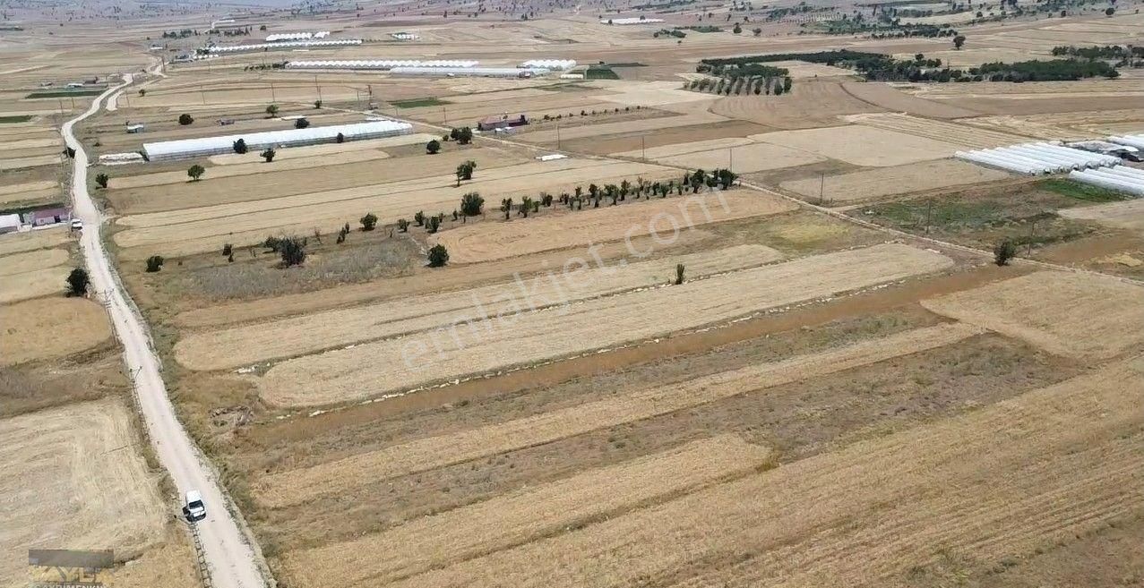 Korkuteli Sımandır Mah. 900 M2 Tarla Resmi Yolu Var - Görsel 10