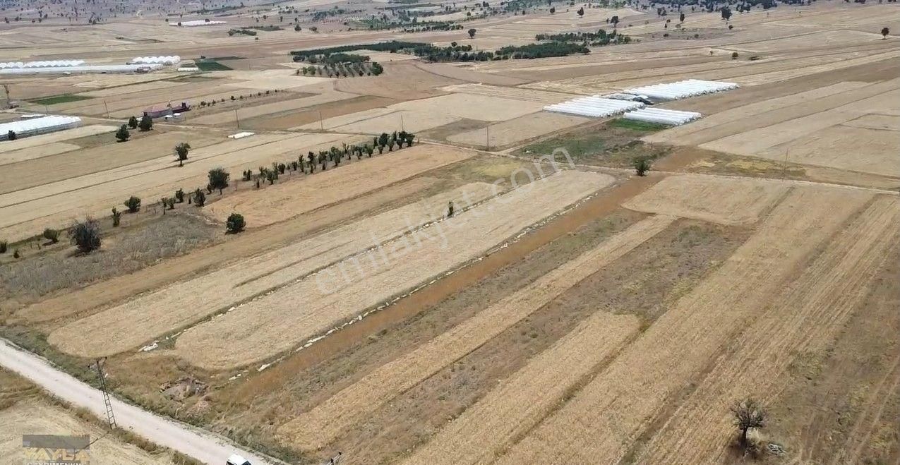 Korkuteli Sımandır Mah. 900 M2 Tarla Resmi Yolu Var - Görsel 13
