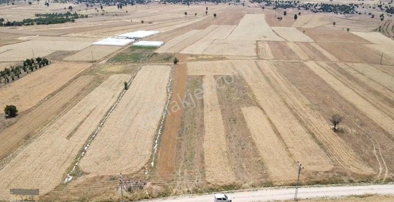 Korkuteli Sımandır Mah. 900 M2 Tarla Resmi Yolu Var - Görsel 15