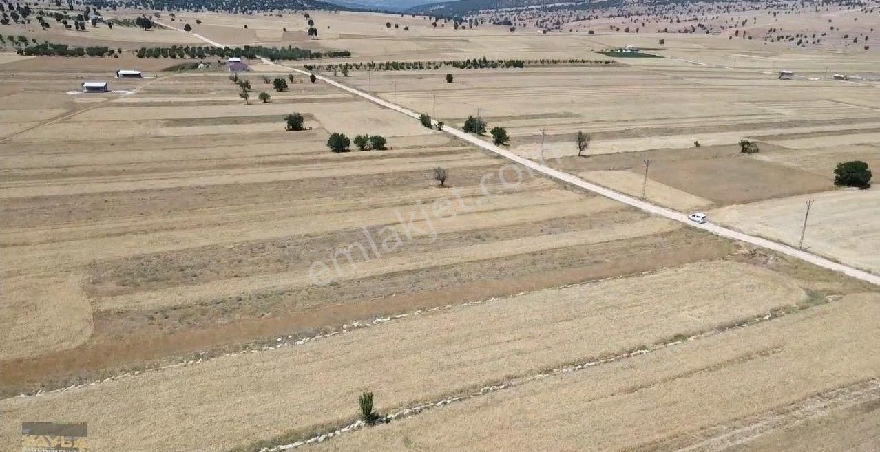 Korkuteli Sımandır Mah. 900 M2 Tarla Resmi Yolu Var - Görsel 4