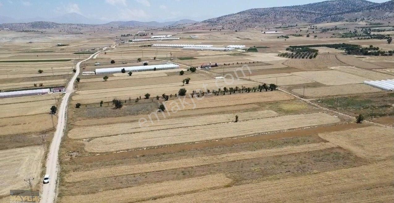 Korkuteli Sımandır Mah. 900 M2 Tarla Resmi Yolu Var - Görsel 14