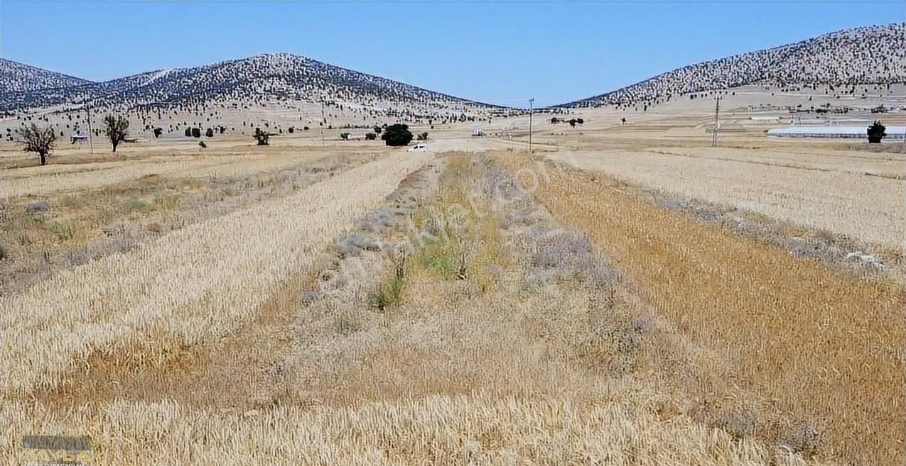 Korkuteli Sımandır Mah. 900 M2 Tarla Resmi Yolu Var - Görsel 22
