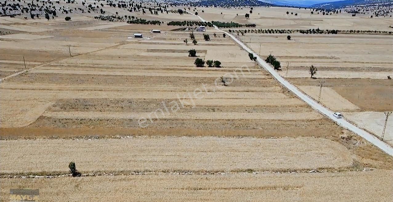 Korkuteli Sımandır Mah. 900 M2 Tarla Resmi Yolu Var - Görsel 2