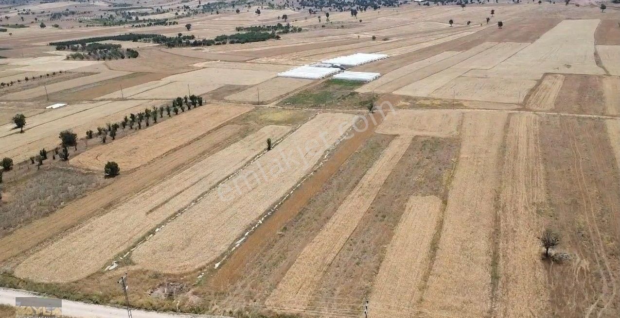 Korkuteli Sımandır Mah. 900 M2 Tarla Resmi Yolu Var - Görsel 25