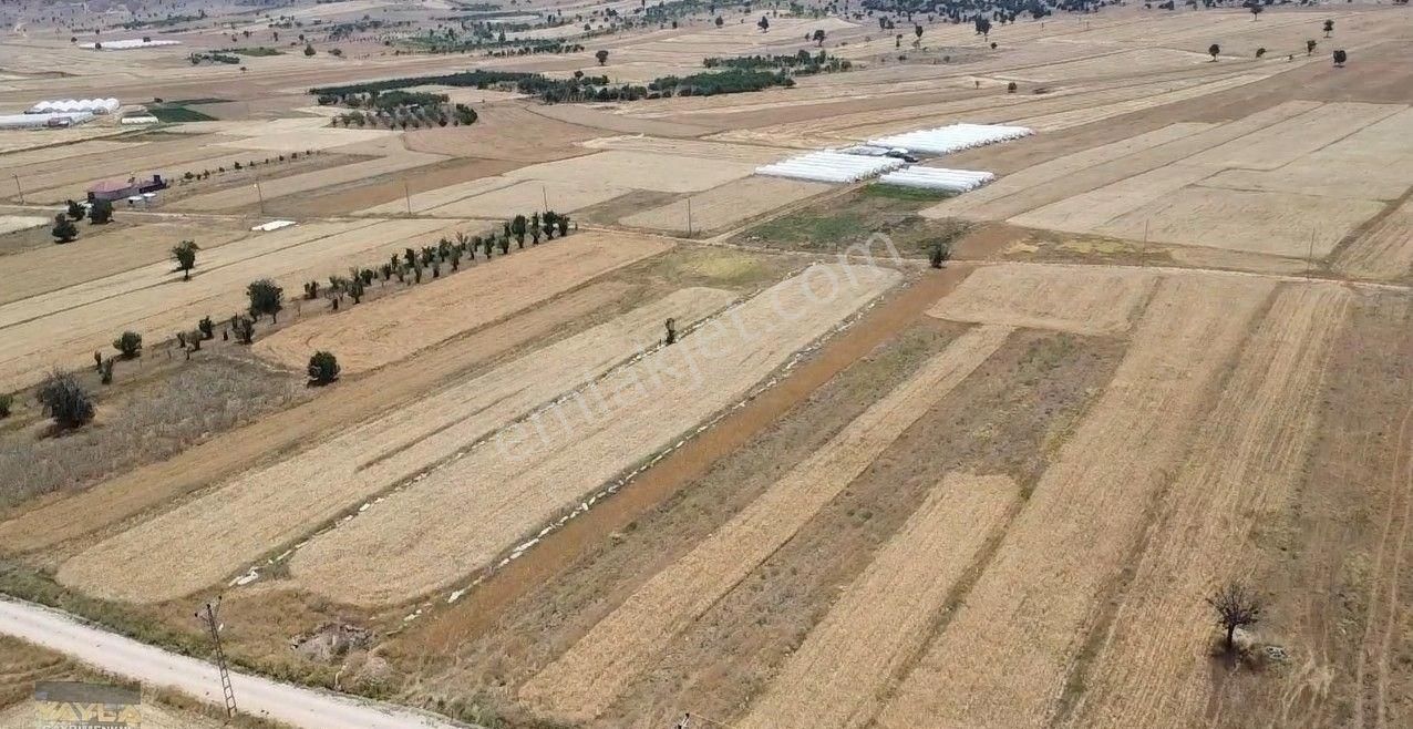 Korkuteli Sımandır Mah. 900 M2 Tarla Resmi Yolu Var - Görsel 3