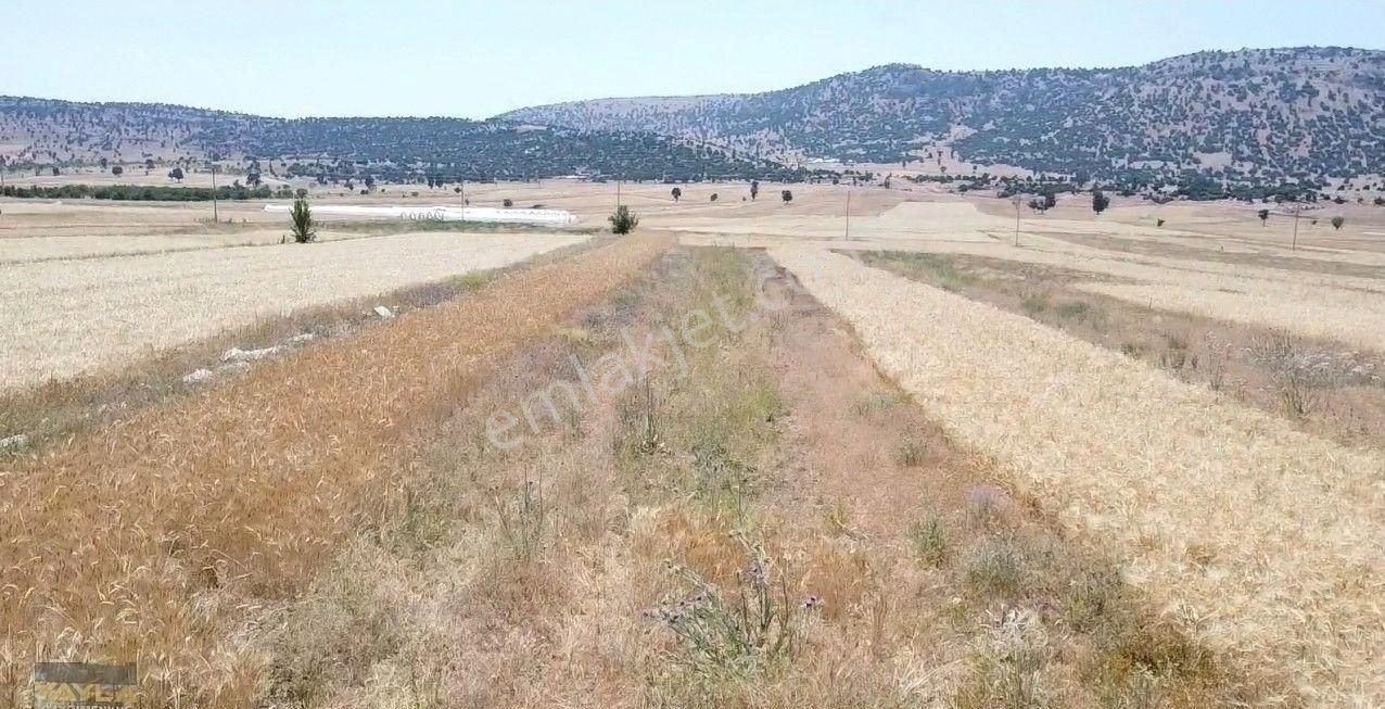 Korkuteli Sımandır Mah. 900 M2 Tarla Resmi Yolu Var - Görsel 7