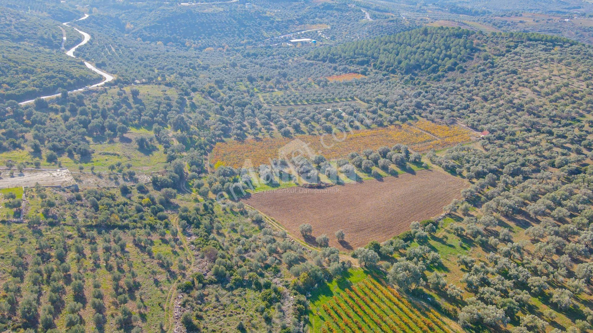Kuşadası Kirazlı'da Satılık Fırsat Tarla - Görsel 10