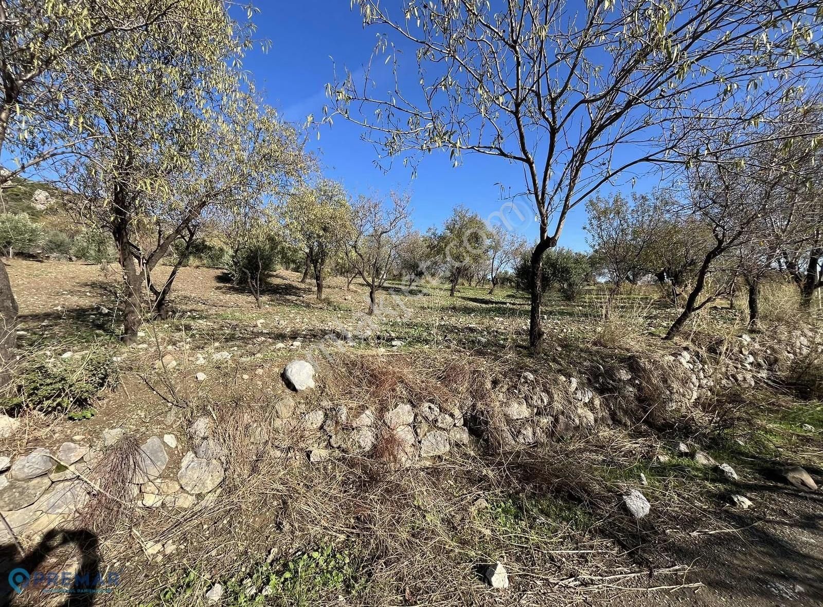 Premar Datça Hızırşah Mahallesi'nde 1262m2 Yolu Mevcut Bademlik - Görsel 7