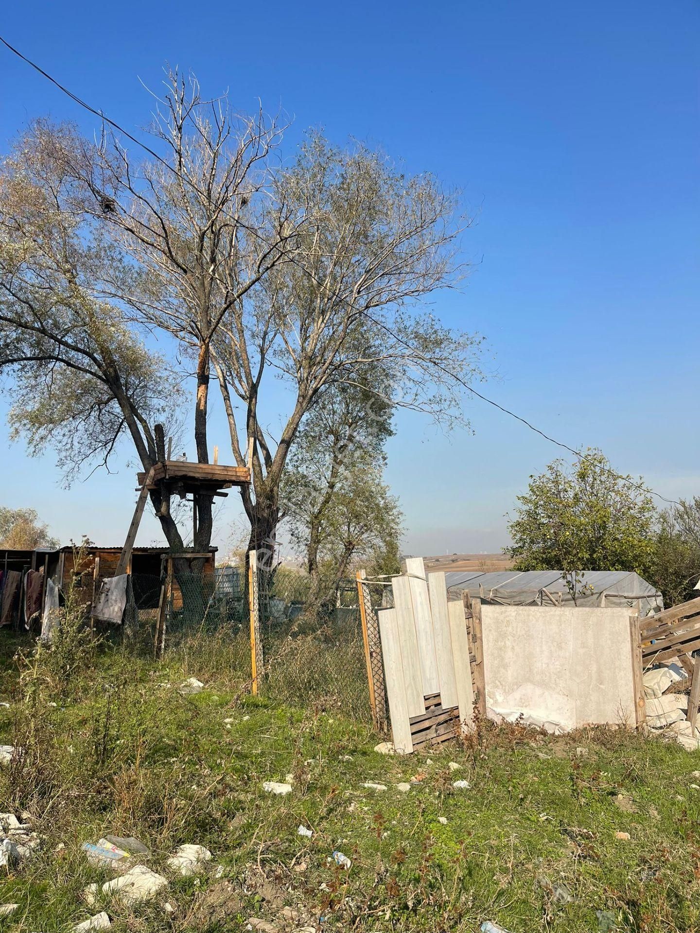 Pegaas'tan Avcılar Firuzköy Mah. 200m2 Yatırımlık Tarla+bungalov - Görsel 4