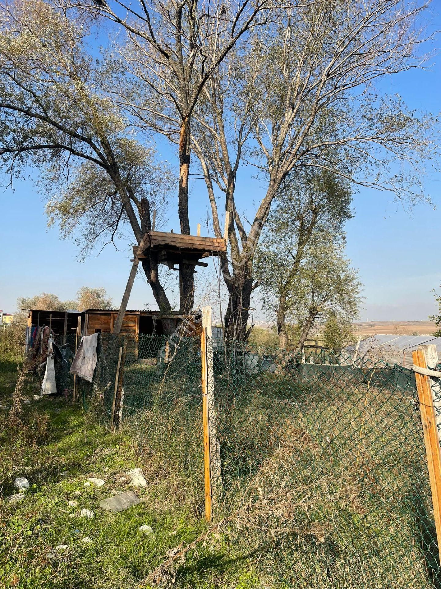 Pegaas'tan Avcılar Firuzköy Mah. 200m2 Yatırımlık Tarla+bungalov - Görsel 6