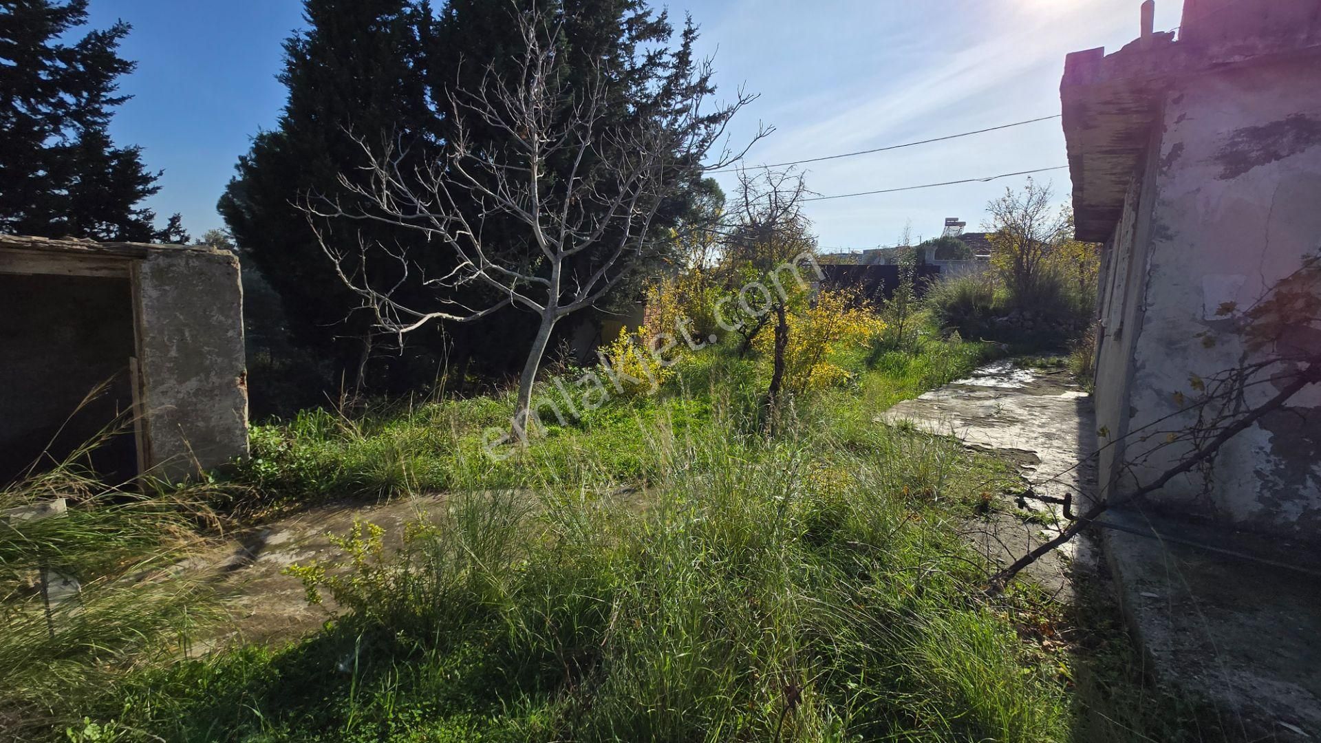 Menderes Görece Ata Mah. 1028 M² Arsa İçinde 100 M² +70 M² Yapılı Kullanımlı Resmi Numaratajlı Mülk - Görsel 21