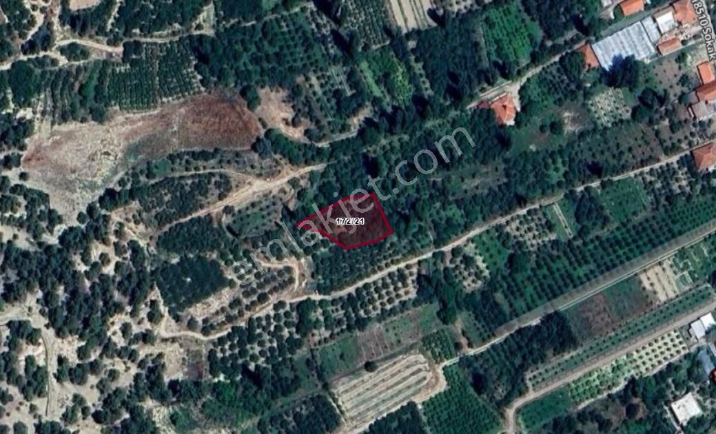 Antalya Korkuteli Sülekler Köyünde 885 M² Bahçe Satılıktır