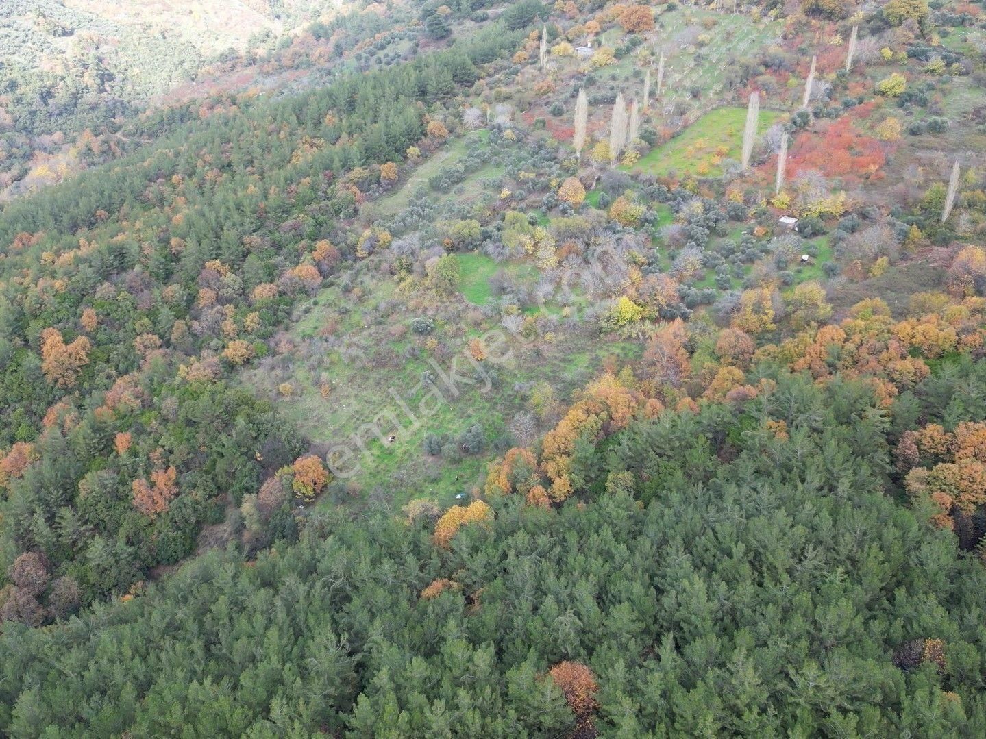 Bayındır Sarıyurt’ta Doğayla İç İçe Satılık Arazi - Görsel 3