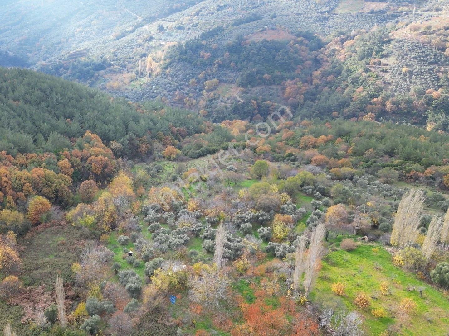 Bayındır Sarıyurt’ta Doğayla İç İçe Satılık Arazi - Görsel 6