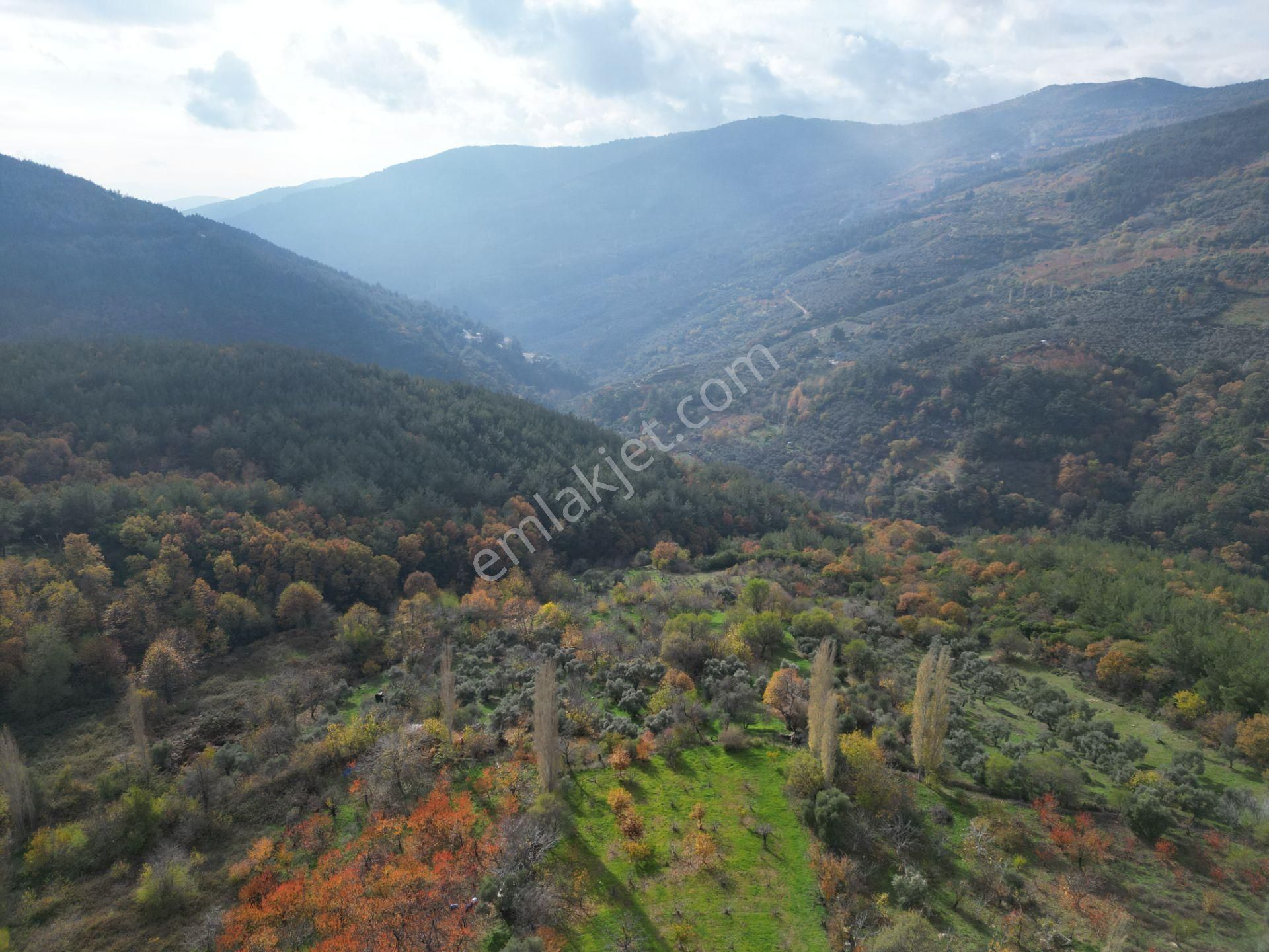 Bayındır Sarıyurt’ta Doğayla İç İçe Satılık Arazi - Görsel 16
