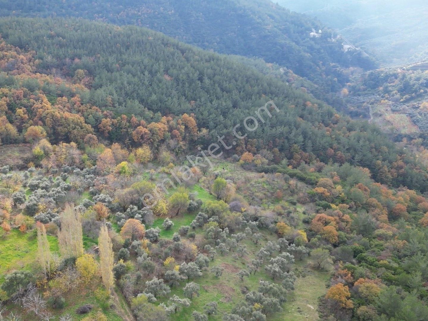 Bayındır Sarıyurt’ta Doğayla İç İçe Satılık Arazi - Görsel 7