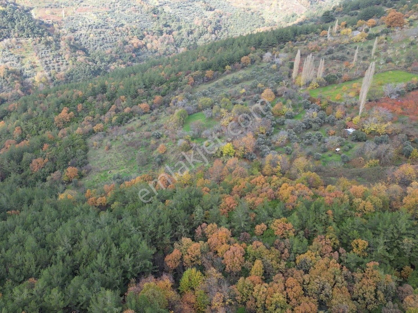 Bayındır Sarıyurt’ta Doğayla İç İçe Satılık Arazi - Görsel 4
