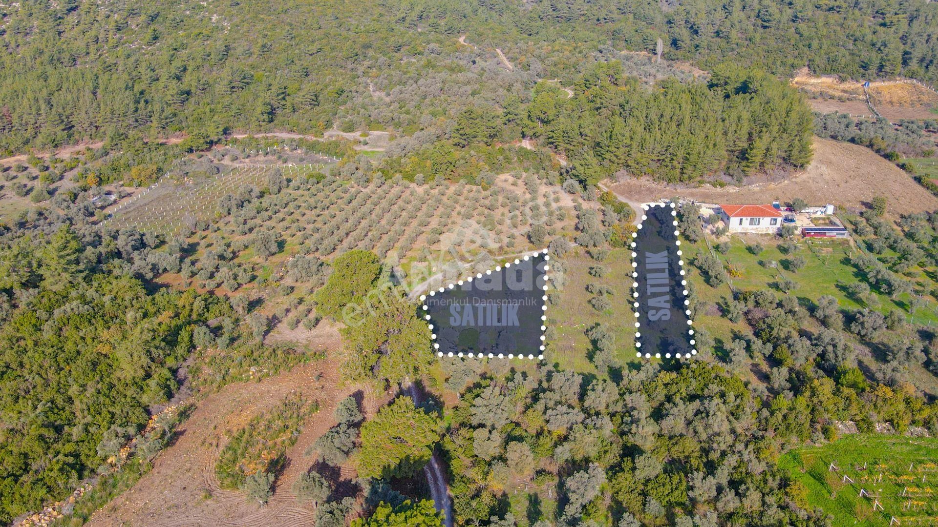 Kuşadası Kirazlı'da Fırsat Satılık Tarla