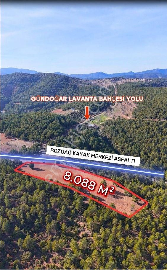 Şahin Emlaktan Denizli Acıpayam Bozdağ Kayak Merkezi Asfaltına Sıfır Satılık 8.088 M² Arazi - Görsel 2