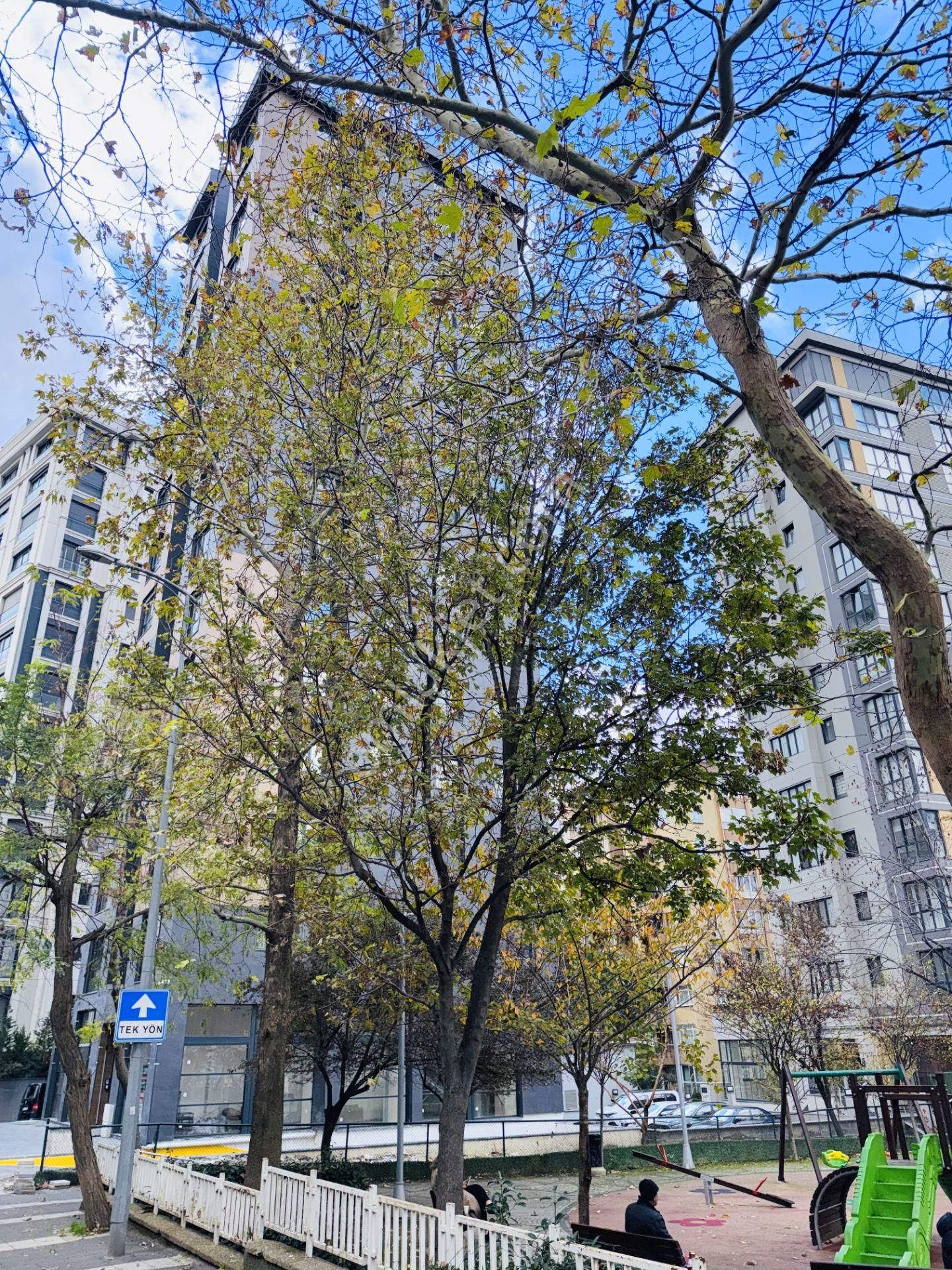 Kozyatağı Metro'ya Çok Yakın, Otoparklı Sıfır Binada 80m2, 2+1 - Görsel 34