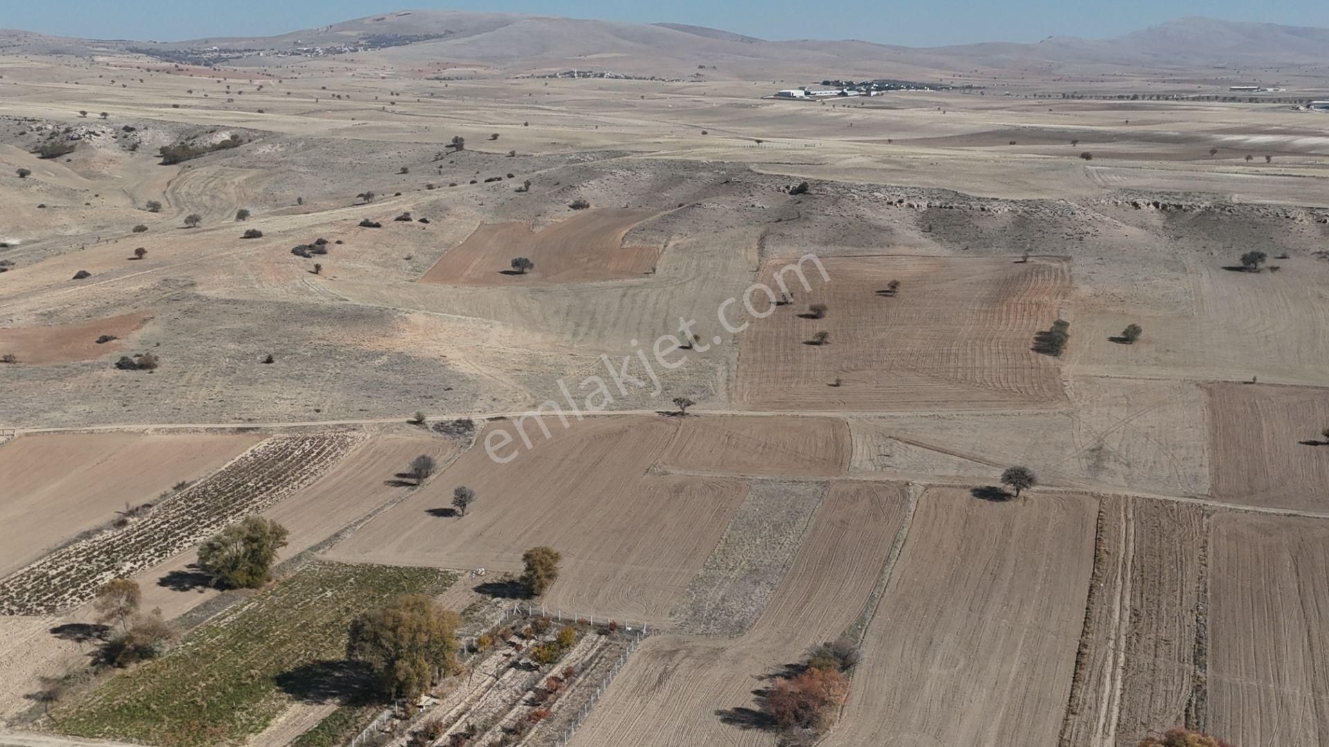 Konya / Meram / Güneydere Mahallesinde 3.750 M² Müstakil Tapulu Tarla - Görsel 15