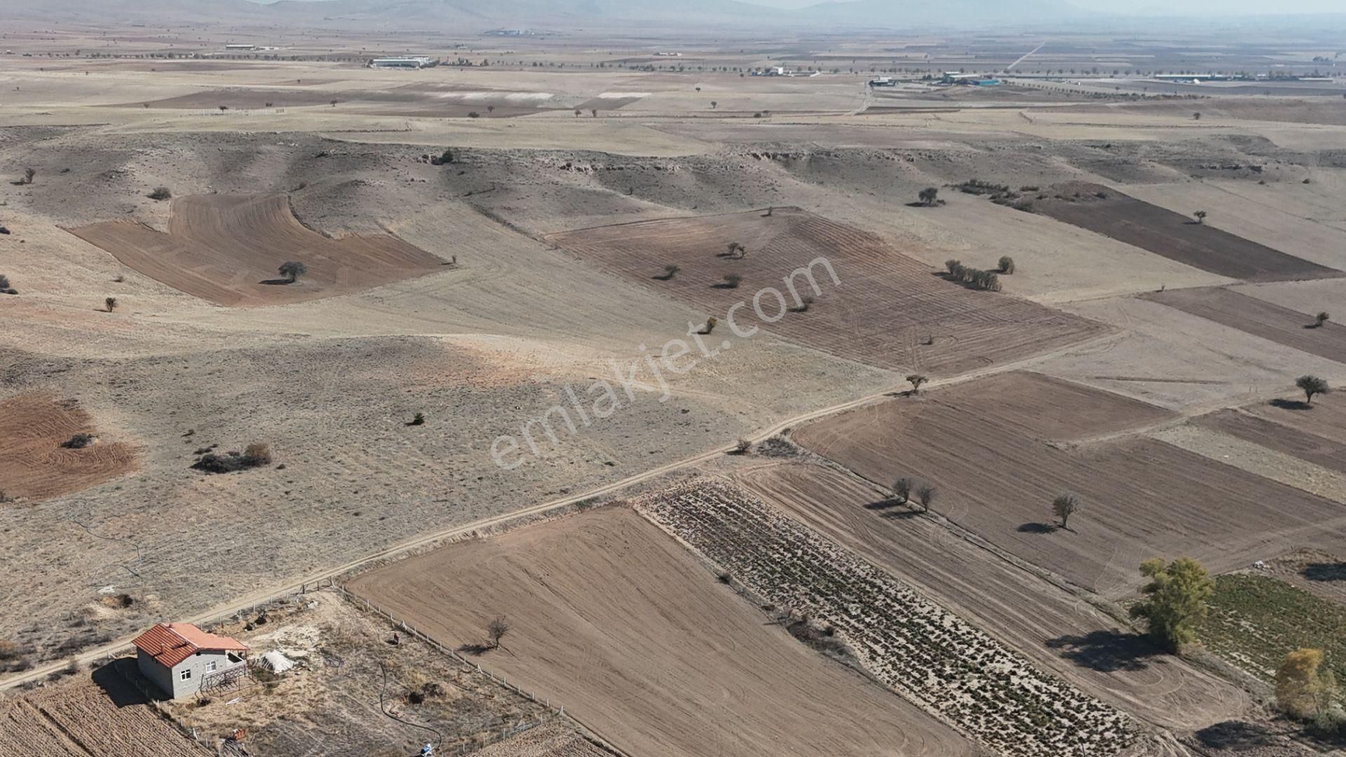 Konya / Meram / Güneydere Mahallesinde 3.750 M² Müstakil Tapulu Tarla - Görsel 13