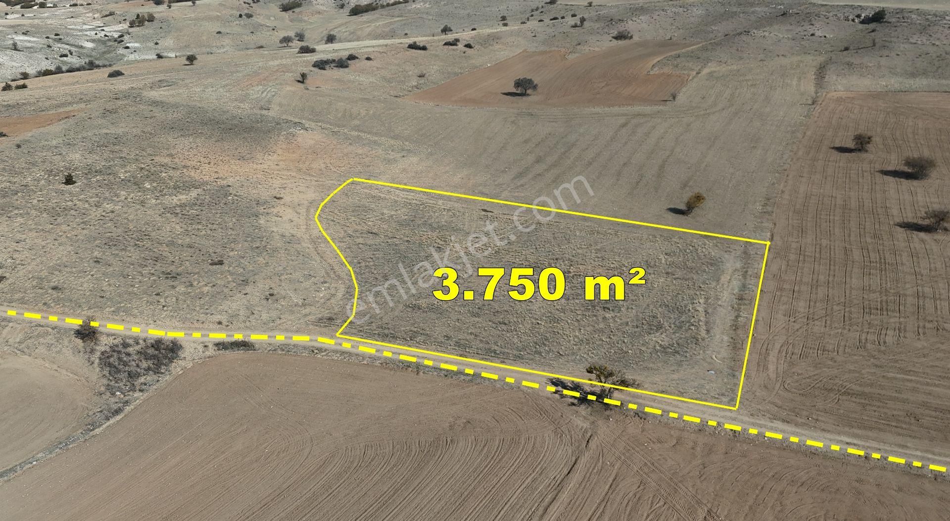 Konya / Meram / Güneydere Mahallesinde 3.750 M² Müstakil Tapulu Tarla - Görsel 3