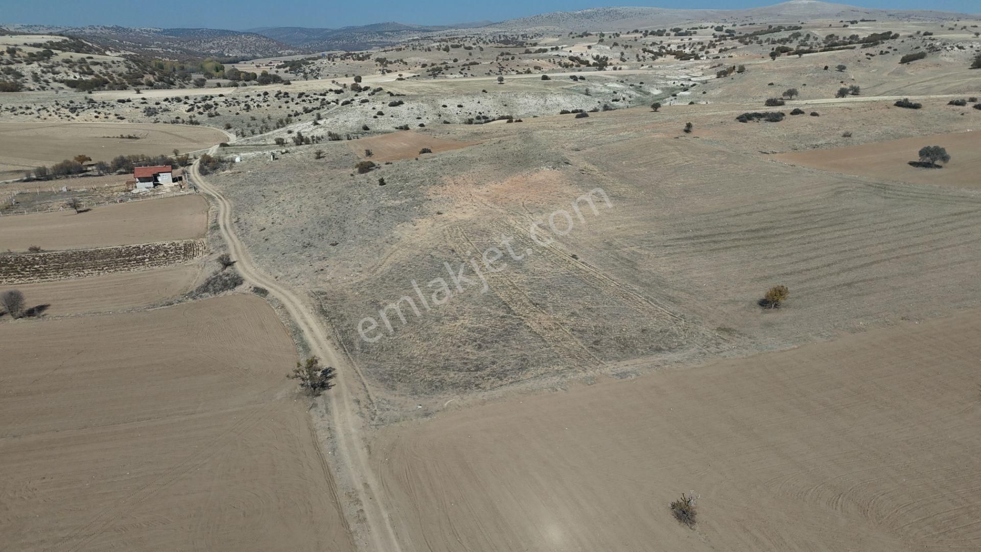 Konya / Meram / Güneydere Mahallesinde 3.750 M² Müstakil Tapulu Tarla - Görsel 9