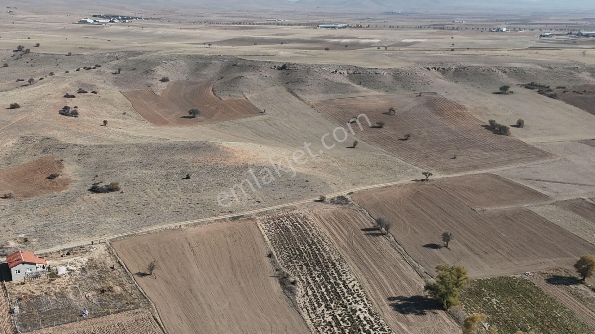 Konya / Meram / Güneydere Mahallesinde 3.750 M² Müstakil Tapulu Tarla - Görsel 14
