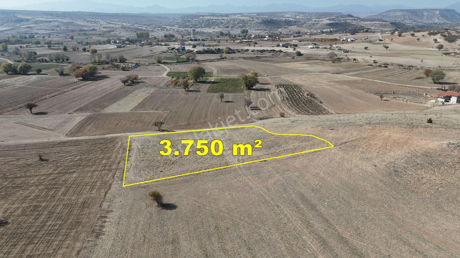 Konya / Meram / Güneydere Mahallesinde 3.750 M² Müstakil Tapulu Tarla - Görsel 8