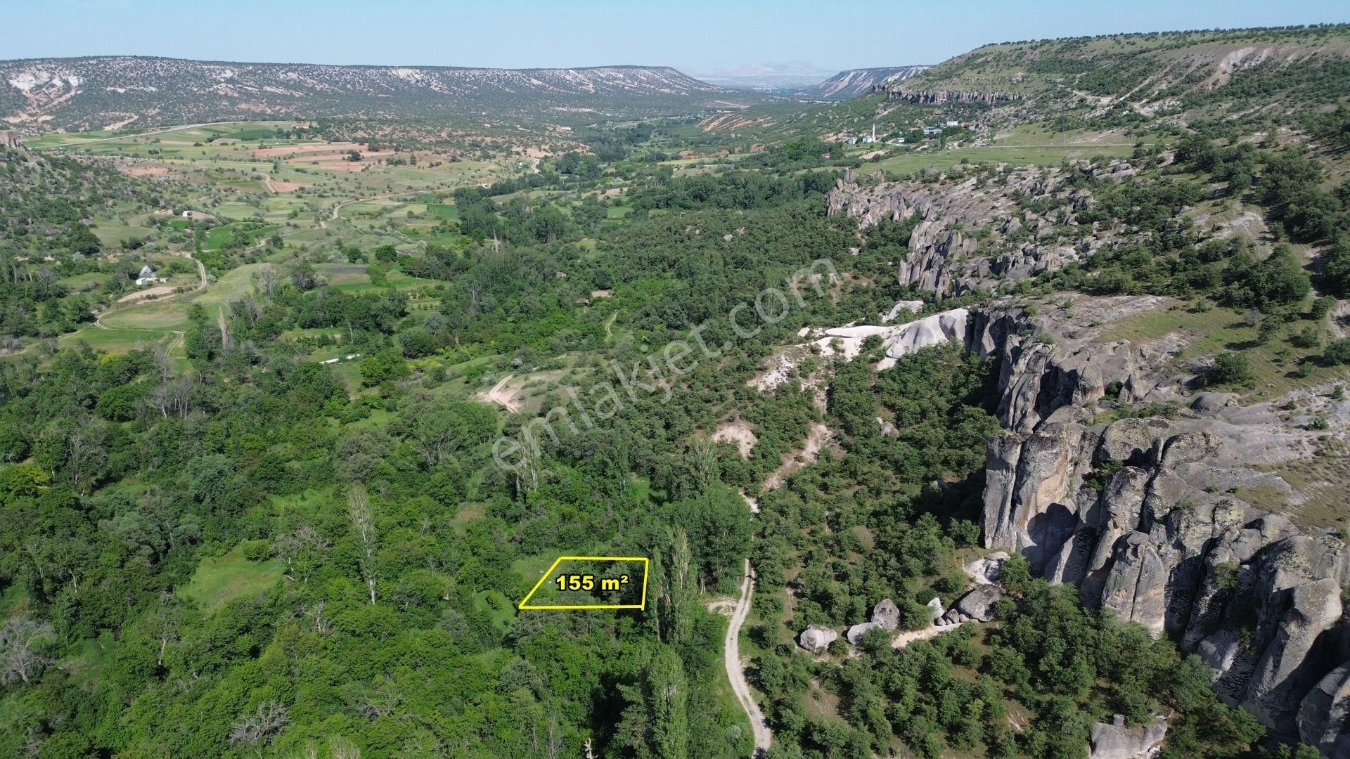 🌼💚 Doğayla İç İçe! 155 M² Bahçe – Kilistra