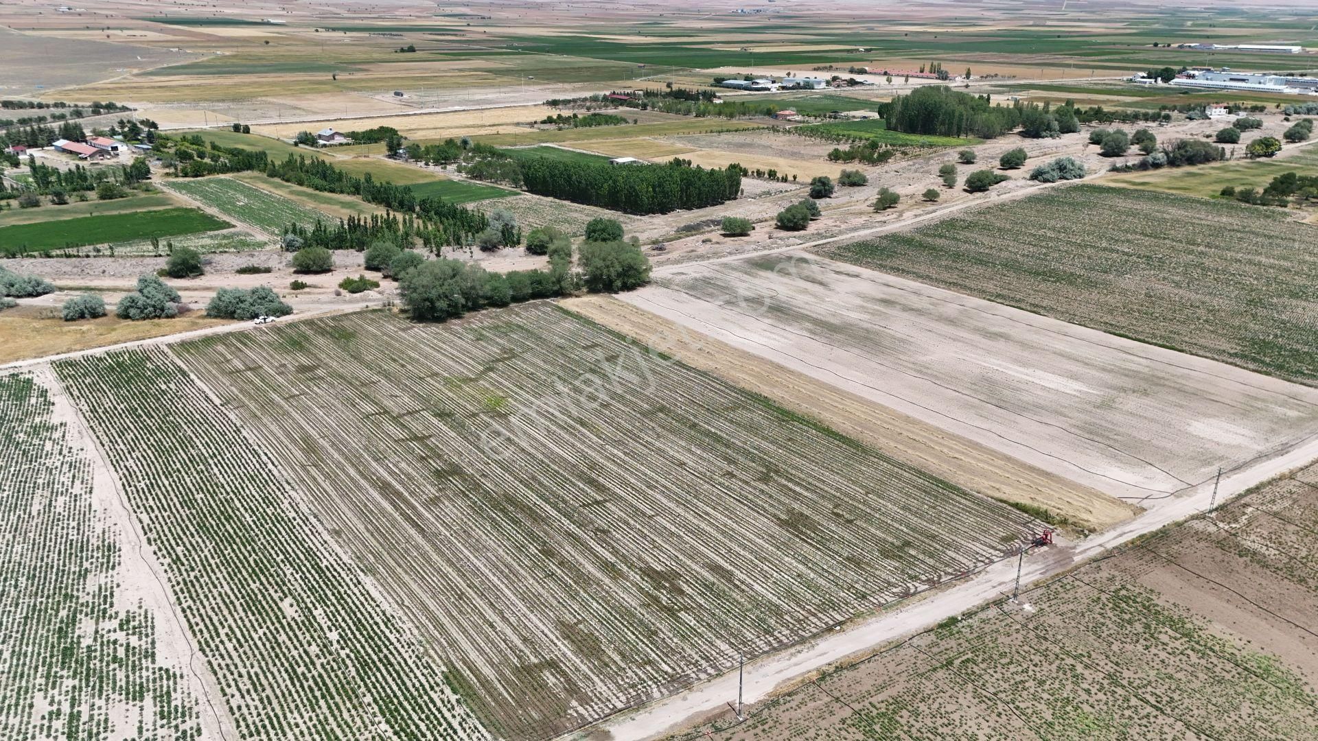 🚜🌞 Hatunsaray’da 5.141 M² Yatırımlık Tarla - Görsel 4