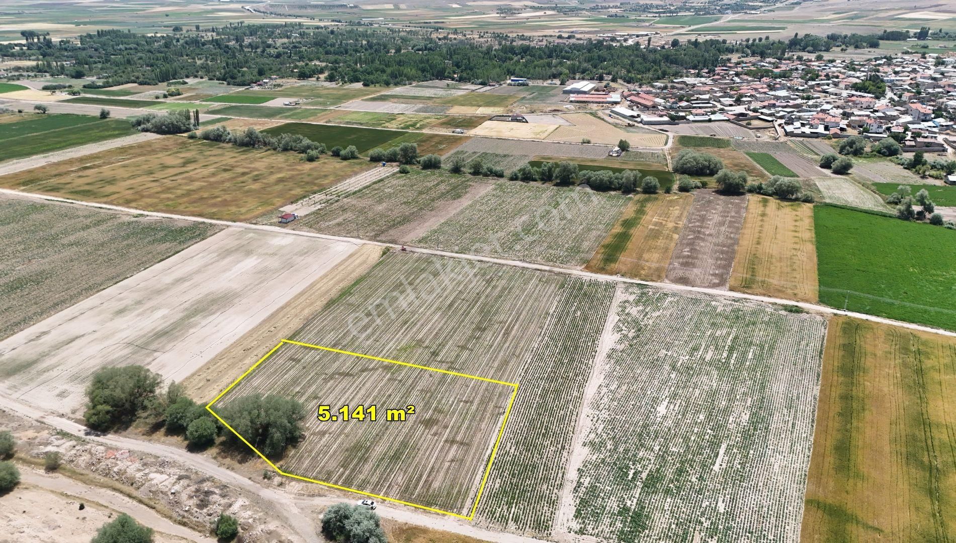 🚜🌞 Hatunsaray’da 5.141 M² Yatırımlık Tarla - Görsel 6