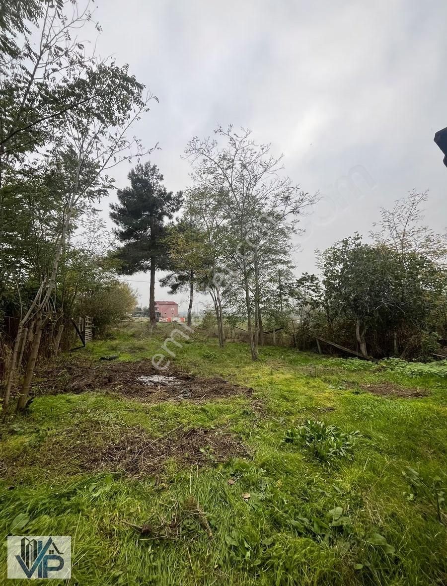 Bafra Vıp Gayrimenkulden Kahramanlar Mah'de 2600m2 Satılık Tarla - Görsel 7