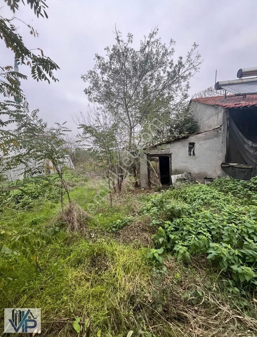 Bafra Vıp Gayrimenkulden Kahramanlar Mah'de 2600m2 Satılık Tarla - Görsel 10