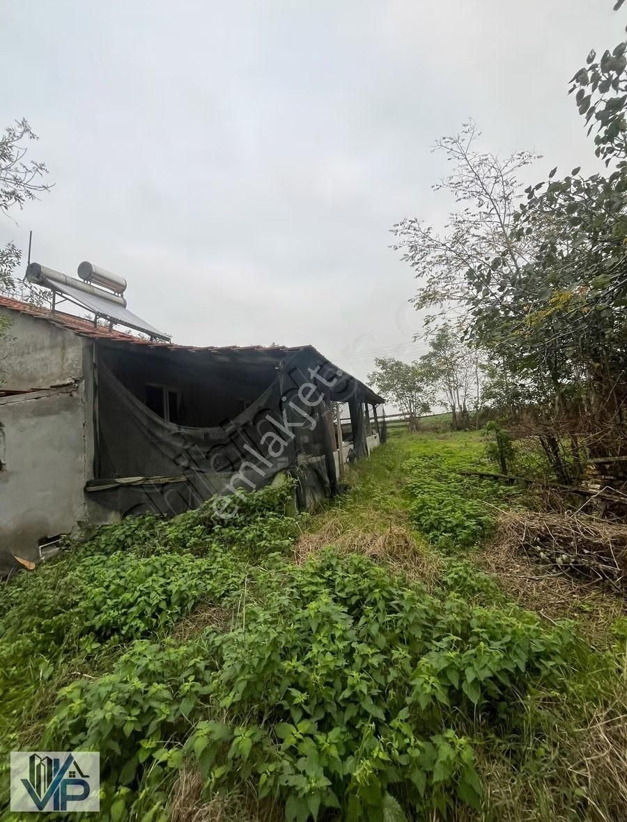 Bafra Vıp Gayrimenkulden Kahramanlar Mah'de 2600m2 Satılık Tarla - Görsel 12