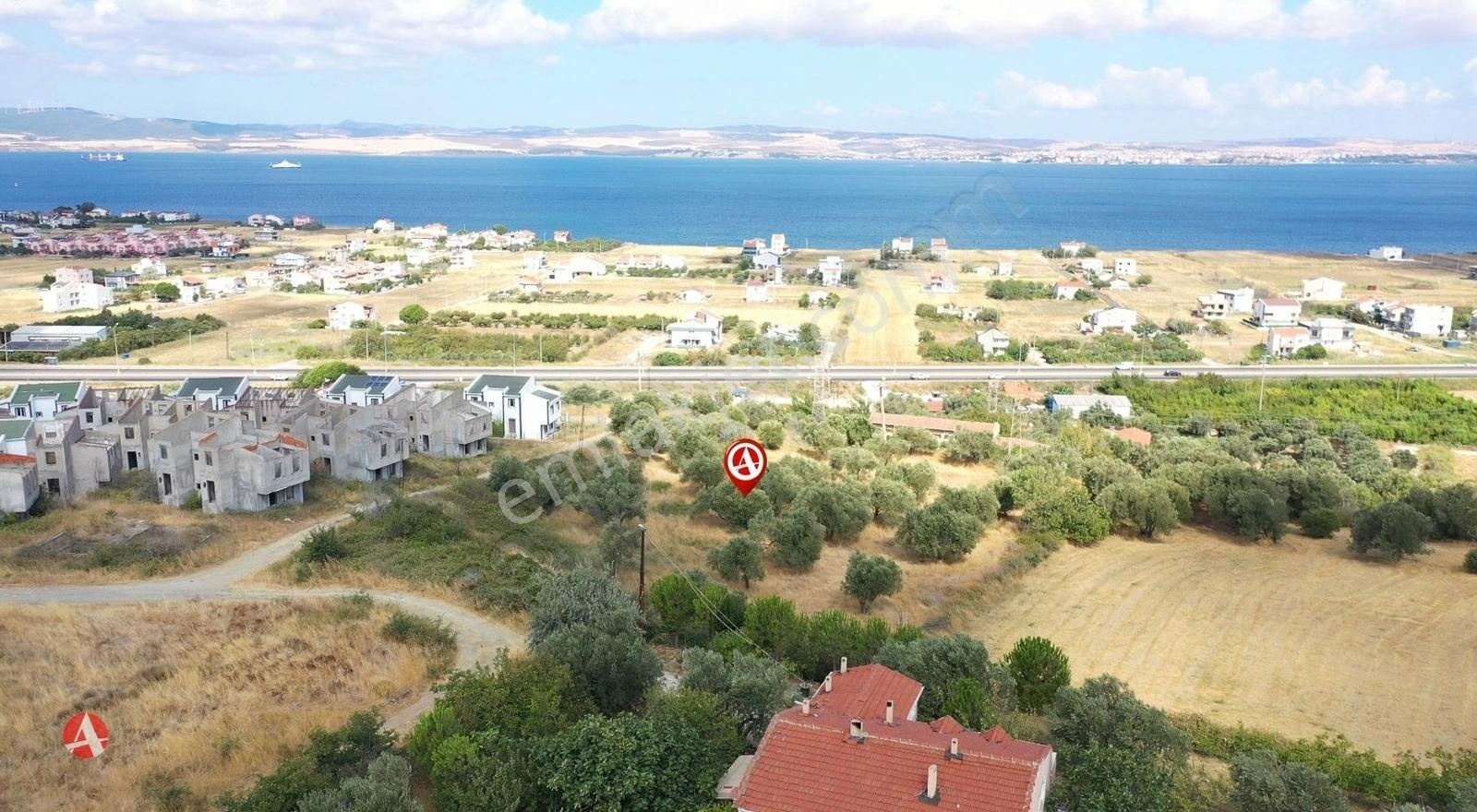 Çanakkale, Lapseki,imar Sınırı, Muhteşem Manzaralı Satılık Arazi - Görsel 4