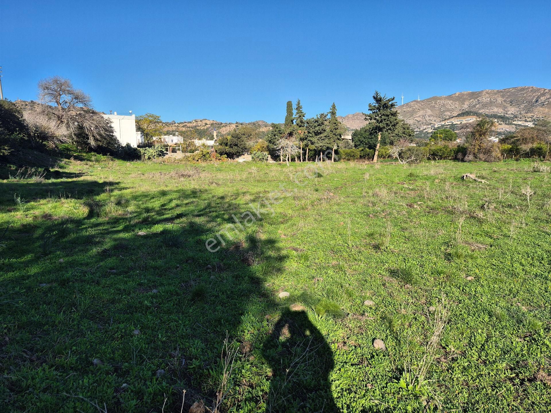 Gümüşlük Merkezi Konumunda 5700 Metrekare Konut İmarlı Yer Satılık - Görsel 6
