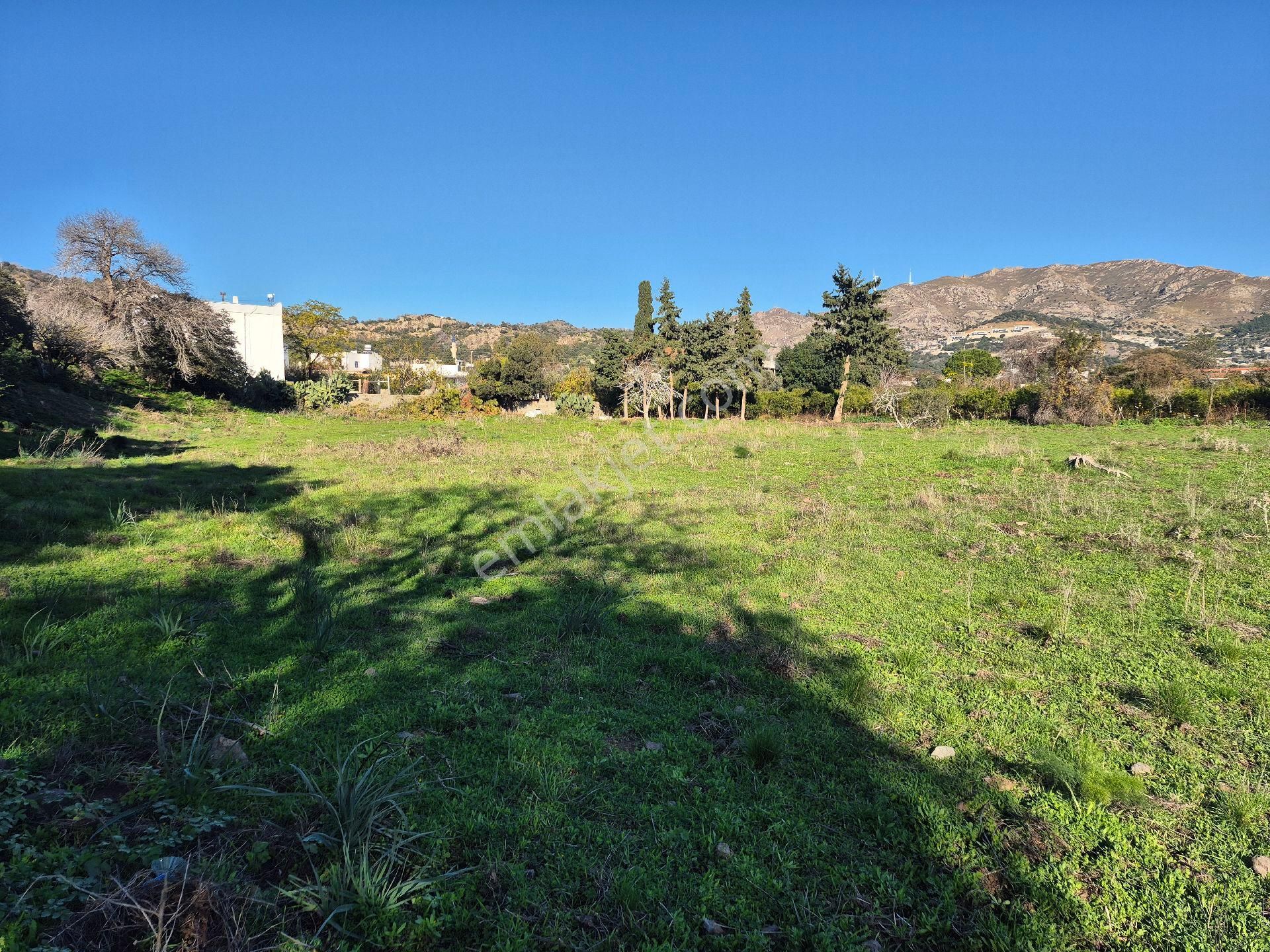 Gümüşlük Merkezi Konumunda 5700 Metrekare Konut İmarlı Yer Satılık - Görsel 8