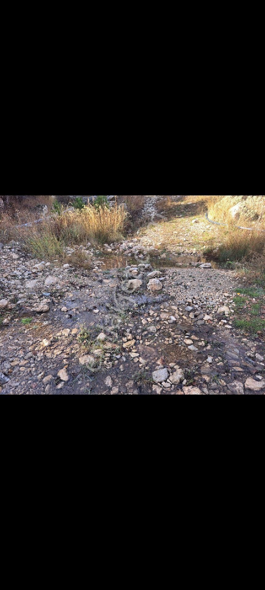 Denizli Gürsu Da Satılık Tarla - Görsel 2