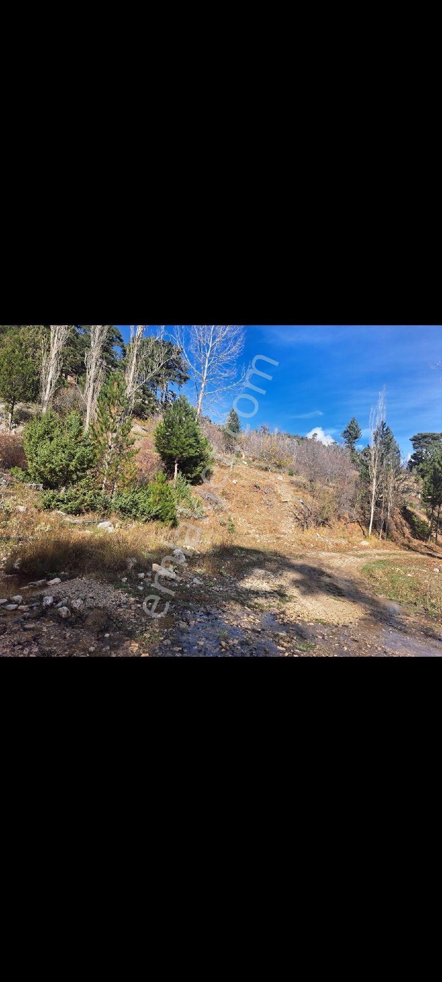 Denizli Gürsu Da Satılık Tarla