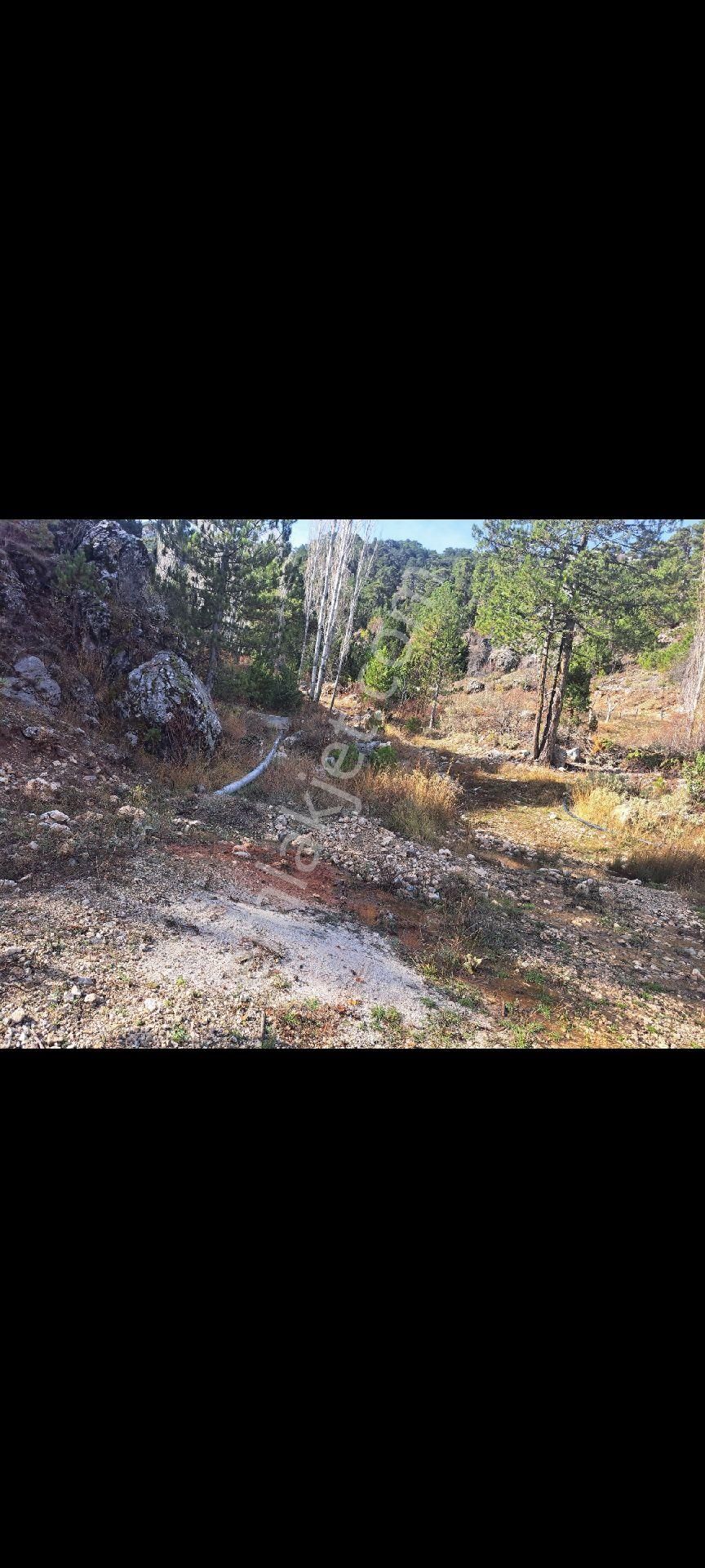 Denizli Gürsu Da Satılık Tarla - Görsel 4