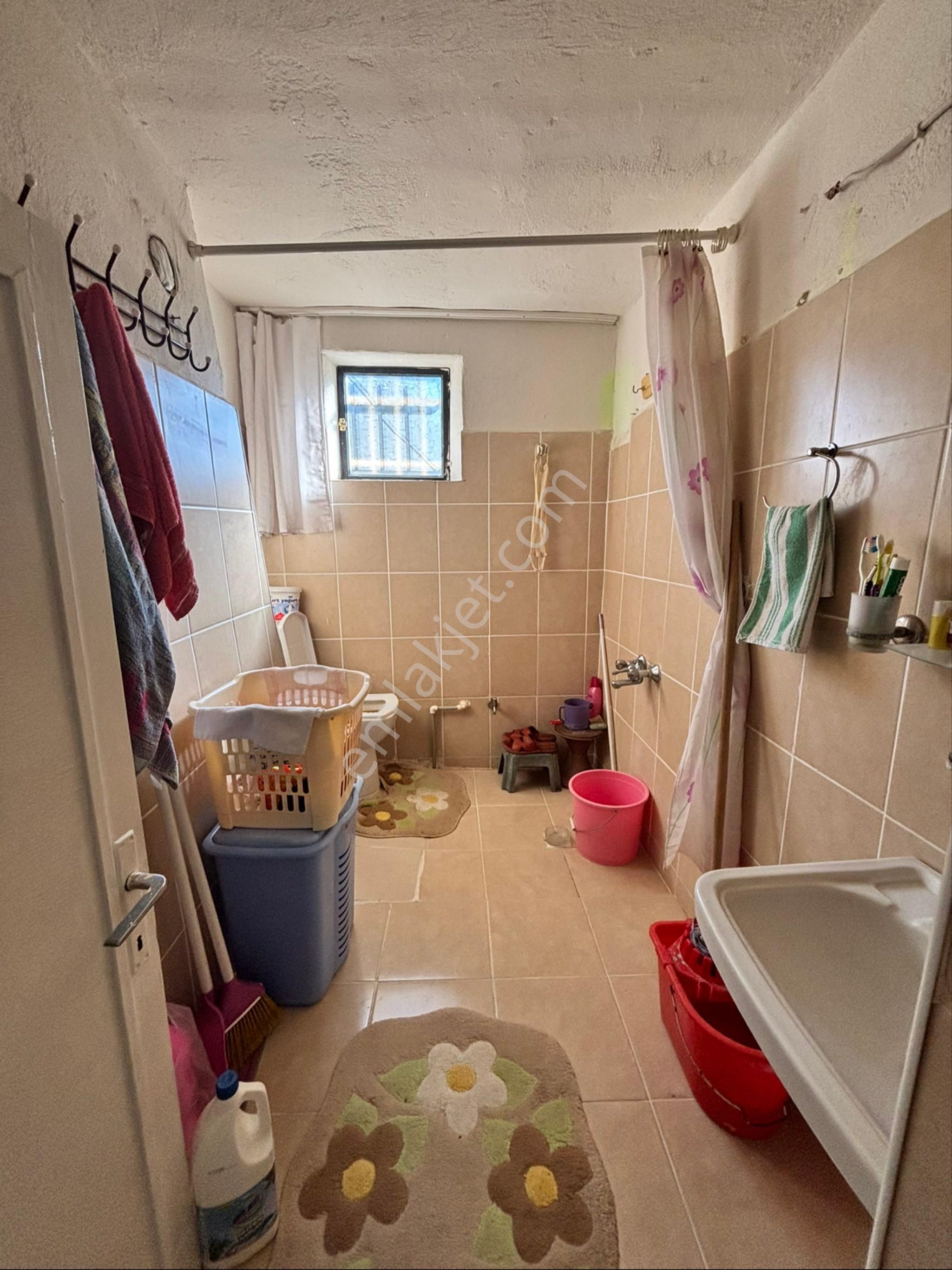 Nazilli Beğerli Mahallesinde 3.000 M2 Müstakil Evli Satılık Zeytinlik - Görsel 21