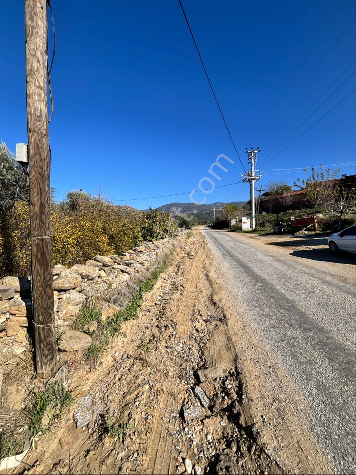 Nazilli Beğerli Mahallesinde 3.000 M2 Müstakil Evli Satılık Zeytinlik - Görsel 30