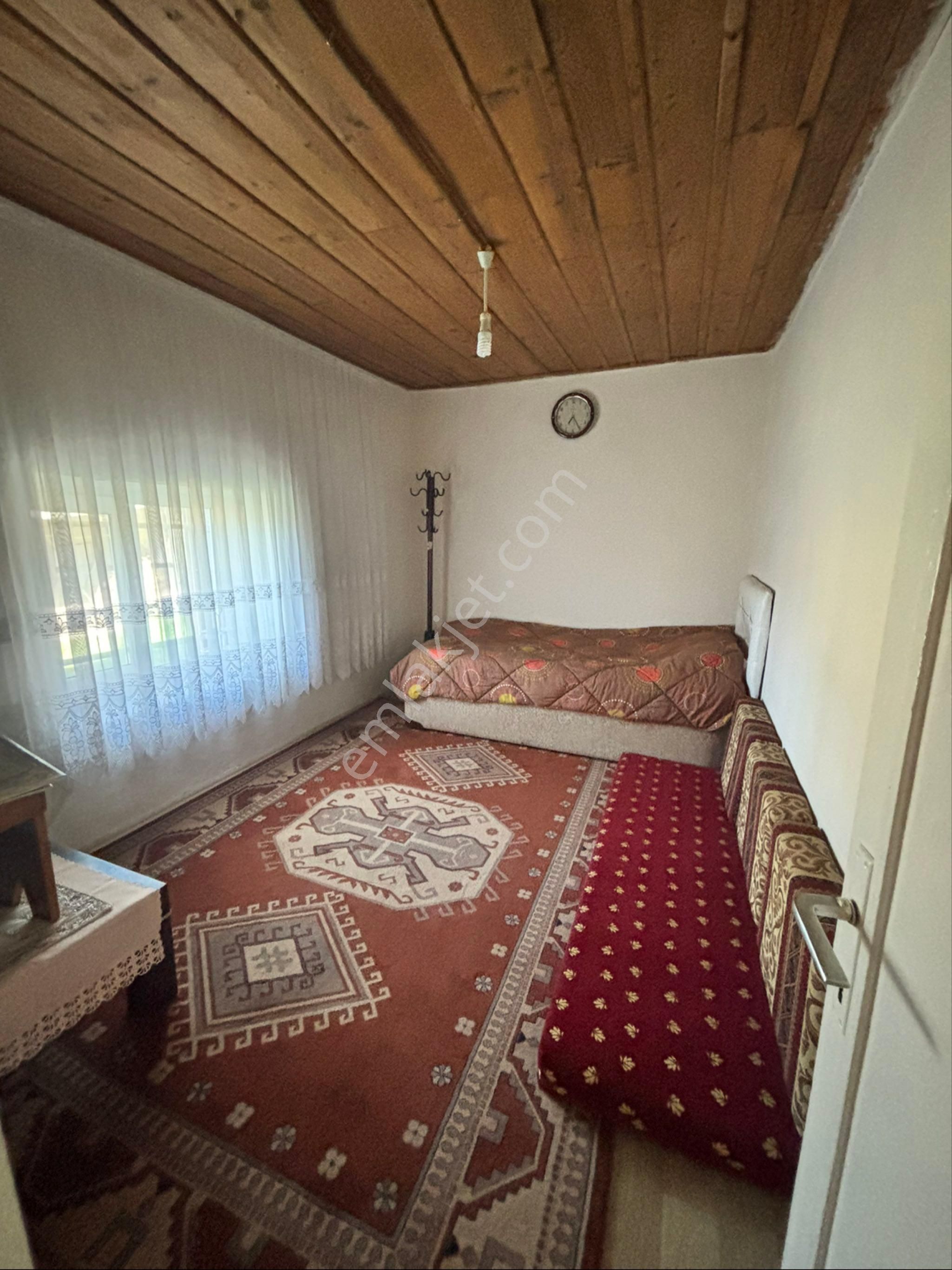 Nazilli Beğerli Mahallesinde 3.000 M2 Müstakil Evli Satılık Zeytinlik - Görsel 27