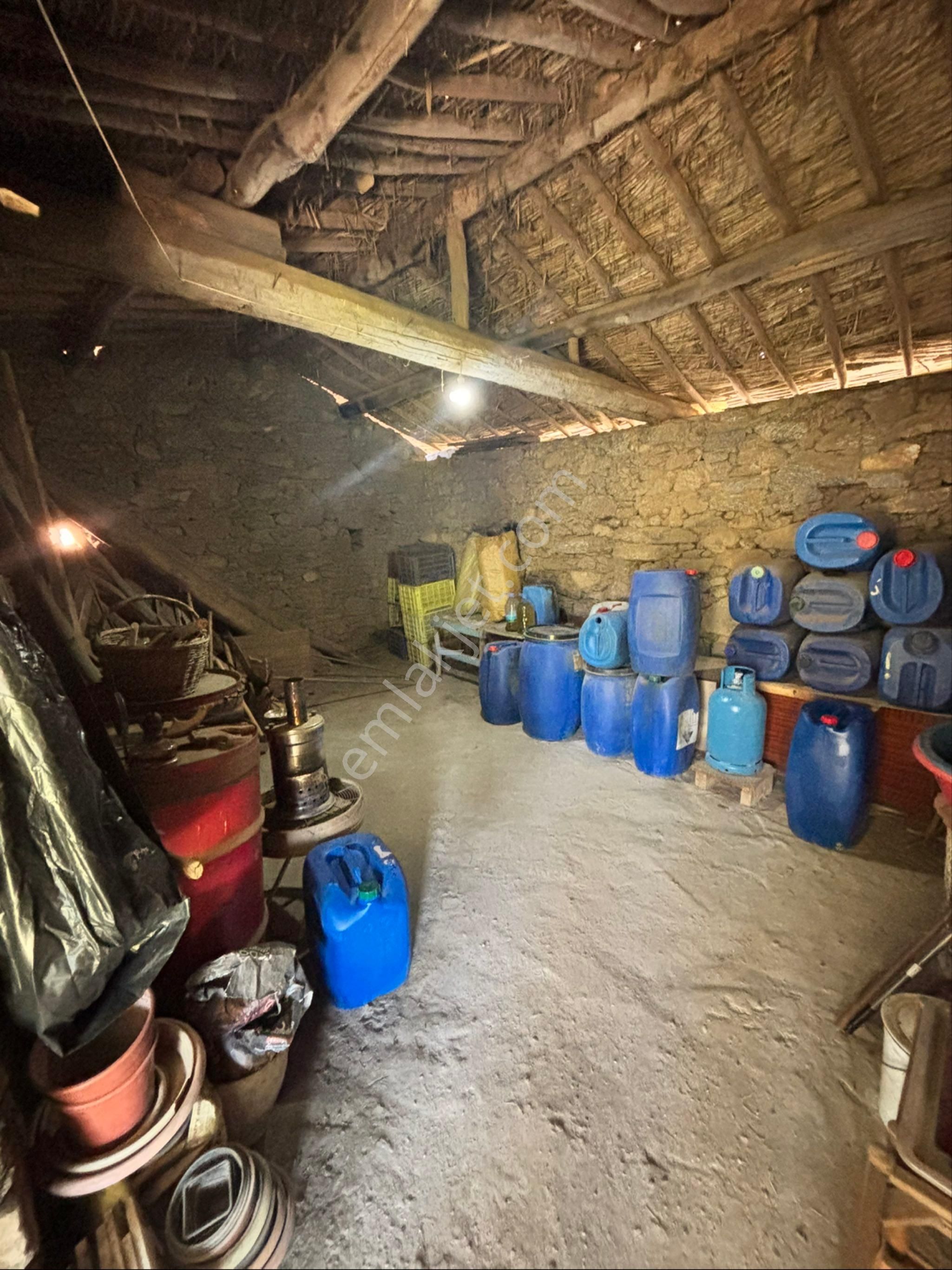 Nazilli Beğerli Mahallesinde 3.000 M2 Müstakil Evli Satılık Zeytinlik - Görsel 17